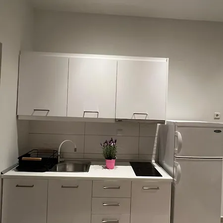 Konstantinou Deluxe Apartment Skala Marion